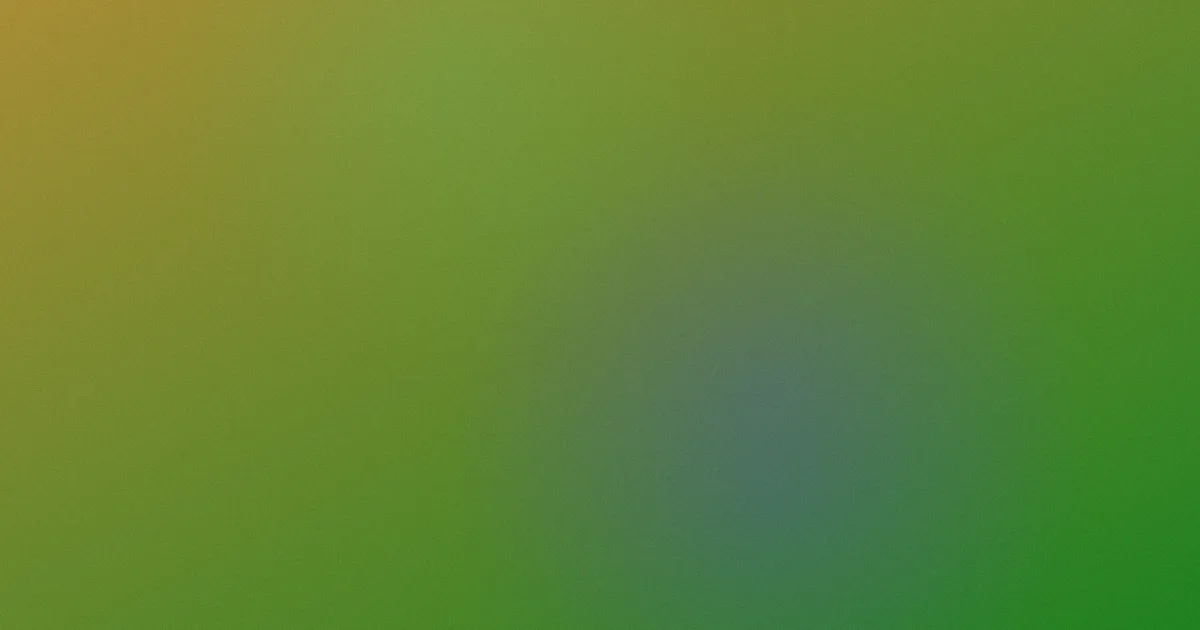奔跑吧2019测评：避坑版